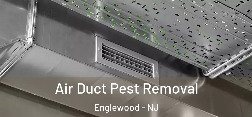  Air Duct Pest Removal Englewood - NJ