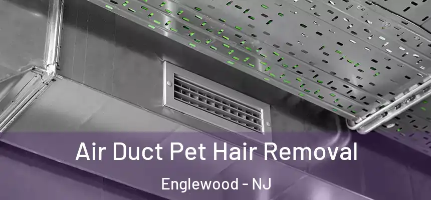 Air Duct Pet Hair Removal Englewood - NJ