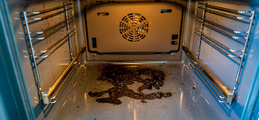 Our Dryer Vent Mold Cleaning Services in Englewood, NJ