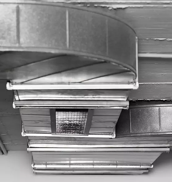 Professional Air Duct Pest Removal in Englewood, NJ