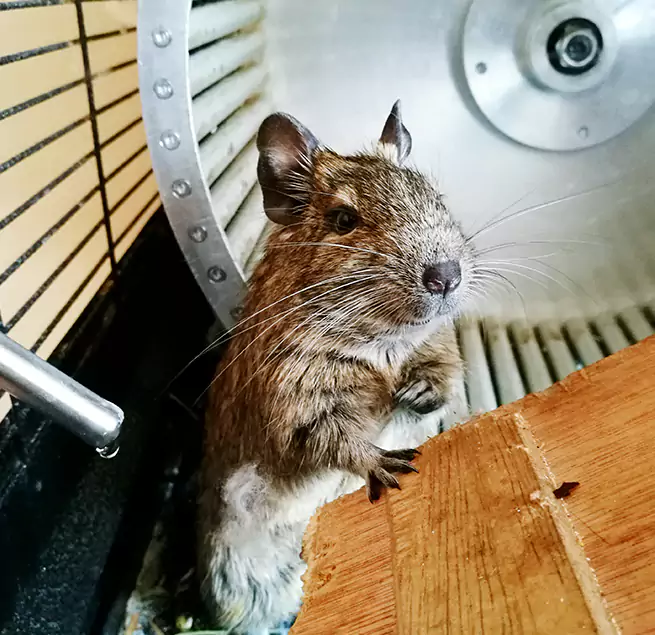 Why Homeowners & Businesses Trust Us Englewood, NJ